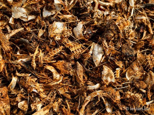 Coarse-grade fish bone meal from tuna and skipjack bones