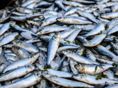 Whole sardines